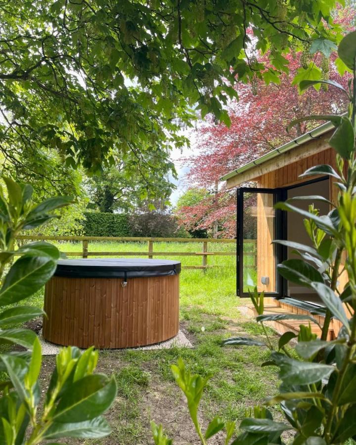 The Weeping Willow Bury St. Edmunds Exteriör bild